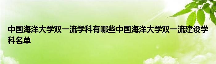 中国海洋大学VPN服务，解锁学子网络畅游新篇章,中国海洋大学VPN服务宣传图,中国海洋大学vpn,第1张