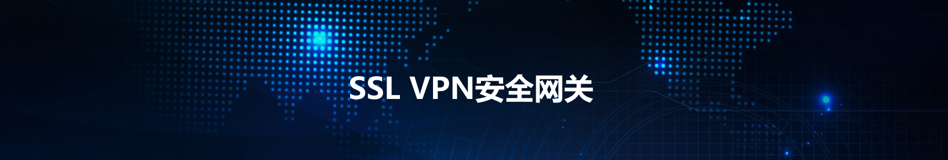 西瓜VPN，全球互联网畅游的安全护航者,SSL VPN示意图,西瓜vpn,第1张