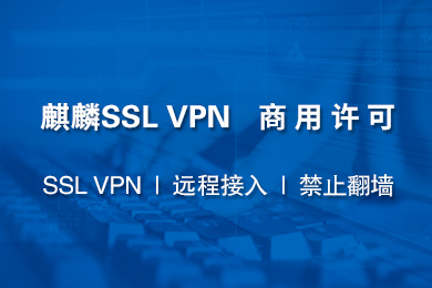 麒麟VPN，护航网络安全，隐私保护首选解决方案,麒麟VPN示意图,麒麟vpn,第1张