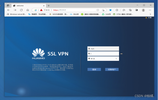 华为VPN——守护网络安全，提升连接效率的智能解决方案,华为VPN示意图,华为VPN,网络安全,华为 vpn,第1张