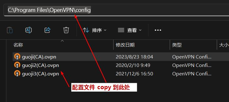 VPN配置文件详解，步骤指南、关键要点与优化策略,VPN配置文件,优化策略,vpn配置文件,第1张